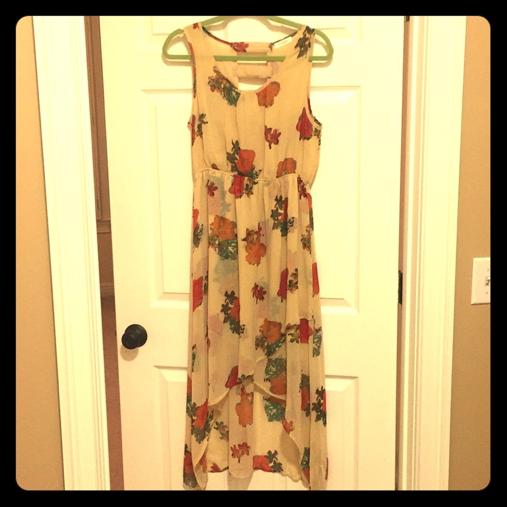 Blue Pepper Sun Dress